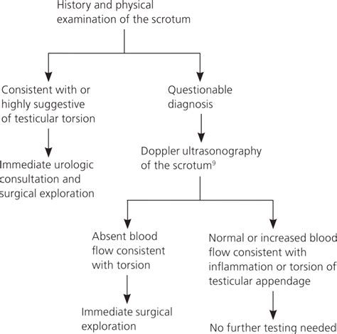 testicular torsion treatment guidelines